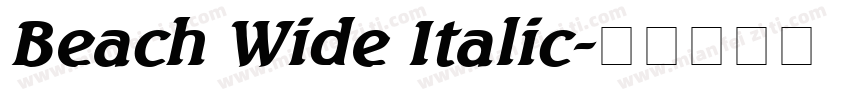 Beach Wide Italic字体转换